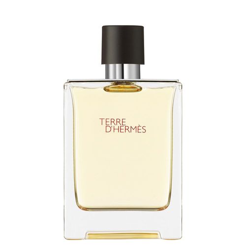 Hermes Paris Terre D'hermes Eau De Toilette 100ml 