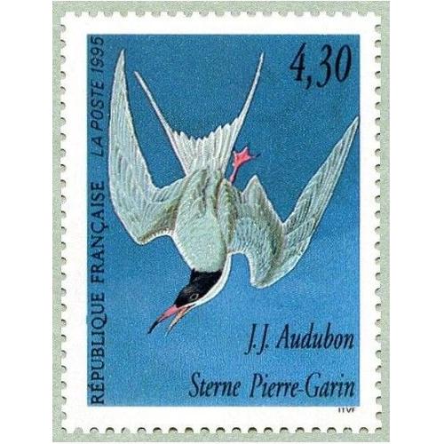 France 1995, Série Les Oiseaux Par John J. Audubon, Très Beau Timbre Neuf** Luxe Yvert 2931, Le Sterne Pierre-Garin.
