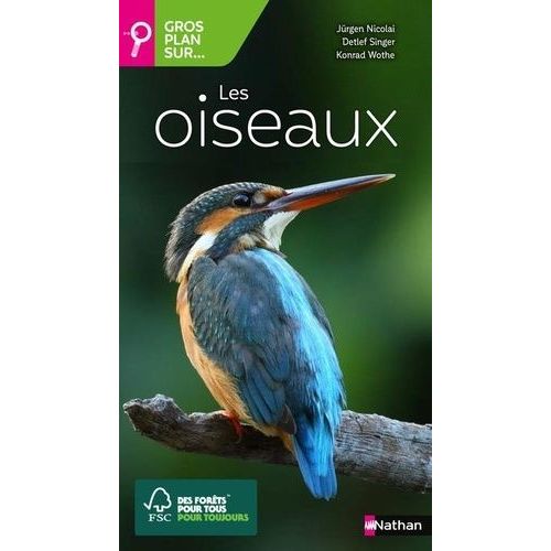 Les Oiseaux
