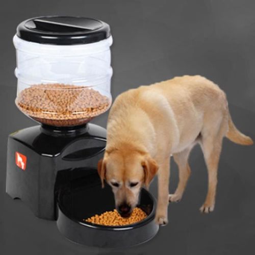 5.5l Distributeur Automatique De Croquettes Pour 2-3 Fois Par Jour Pour Chien Chat Et Animaux Domestiques