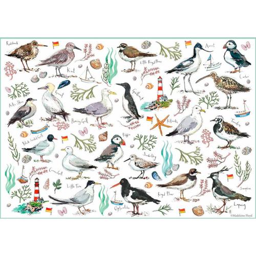 Seabirds - Puzzle 500 Pièces