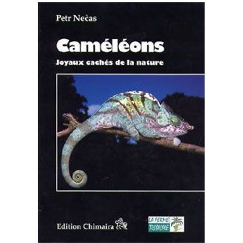 Caméléons Joyaux Caches De La Nature