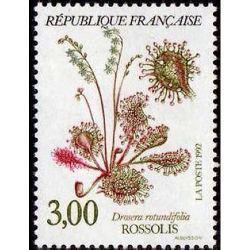 1 Timbre France 1992 Neuf- Rissolis - Yt 2767