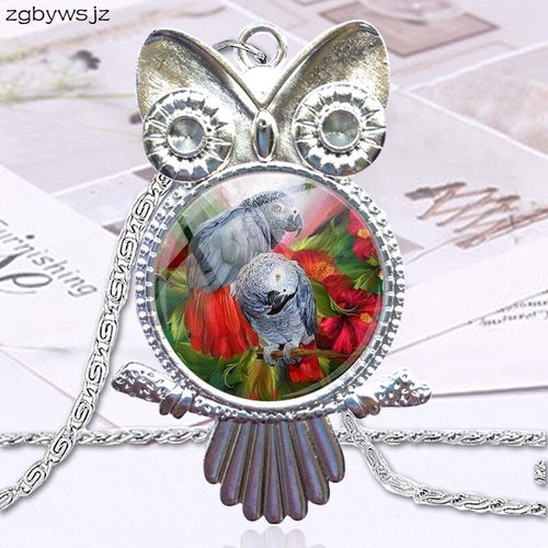 Collier Ras Du Cou, Cabochon En Verre, Hibou, Couleur Bronze, Bijoux Pour Femmes, Queue Rouge Africaine, Perroquet Gris