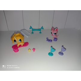 Une Journée À La Neige Littlest Petshop