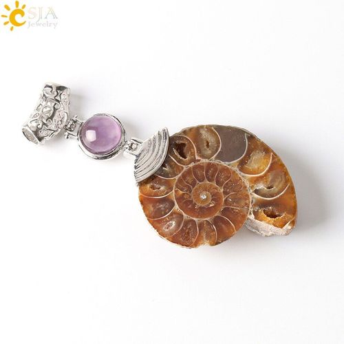 Pendentif Fossile En Amonite Naturelle, Collier En Coquillage D'escargot À Moitié Coupé, En Cristal Violet, Bijoux Pour Femmes Et Hommes, E256