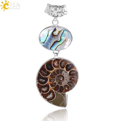 Pendentif En Coquillage D'ormeau Naturel De Nouvelle Zélande, Reliques D'animaux, Pour Collier D'escargot De Mer, Ammoniac, Bijoux Cadeau Pour Hommes E257