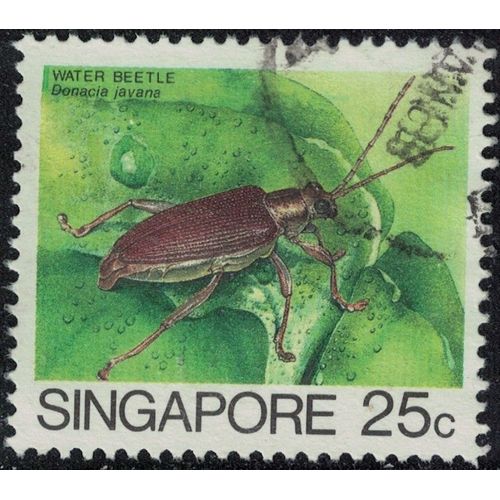 Singapour 1988 Oblitéré Used Insecte Donacia Javana Y&t Sg 459a Su