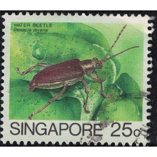 Singapour 1988 Oblitéré Used Insecte Donacia Javana Y&t Sg 459a Su