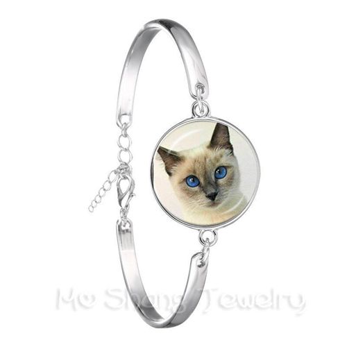 Bracelet Dôme En Verre Avec Image De Chat Noir, Plaqué Argent, Série De Motifs D'animaux, Cadeau Pour Amoureux Des Chats