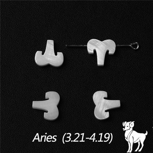 Accessoires De Bijoux, 12 Signes Du Zodiaque, Constellation, Nacre, Coquillage Blanc Percé, Pour Bracelet Et Collier