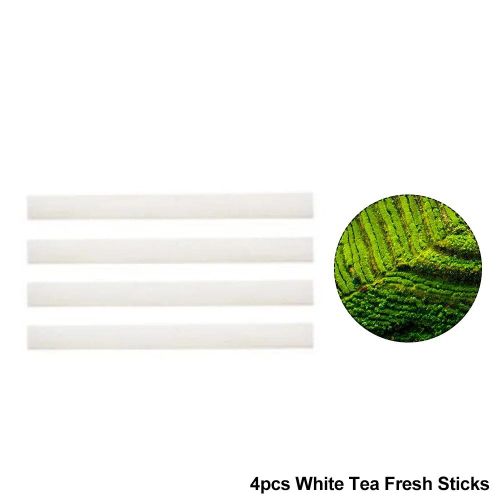 Désodorisant De Voiture Uniquement Pour Les Placements Modèle 3 Y,Ornement De Parfum De Tableau Prada,Diffuseur D'aromathérapie,Accessoires D'odeur De Parfum - Type 4x White Tea Stick