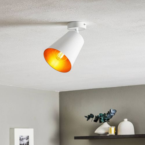Spot Pour Plafond Prism Acier, 1 Lampe, Blanc/Doré