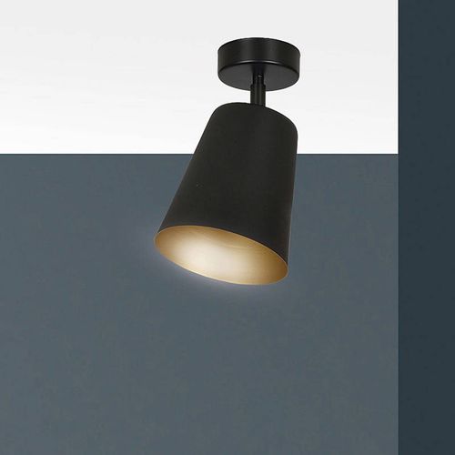Spot Pour Plafond Prism, À 1 Lampe, Noir/Doré