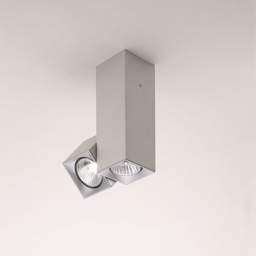 Milan Dau Plafonnier Inclinable & Pivotable 2 L.