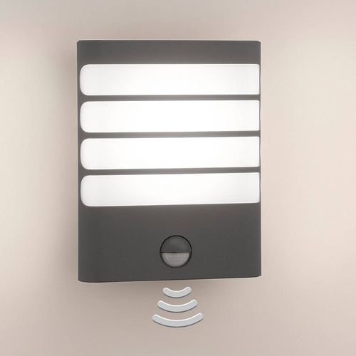 Philips Raccoon Applique Led Anthracite