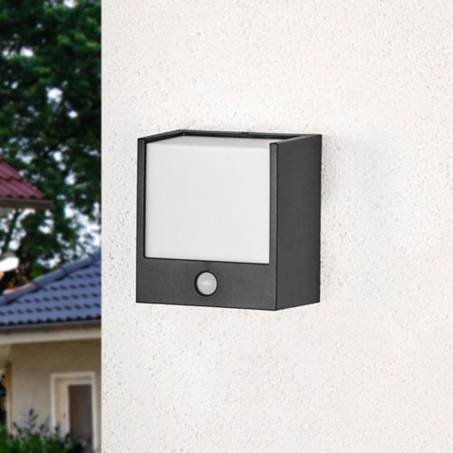 Applique DExtérieur Led Macaw Avec Détecteur