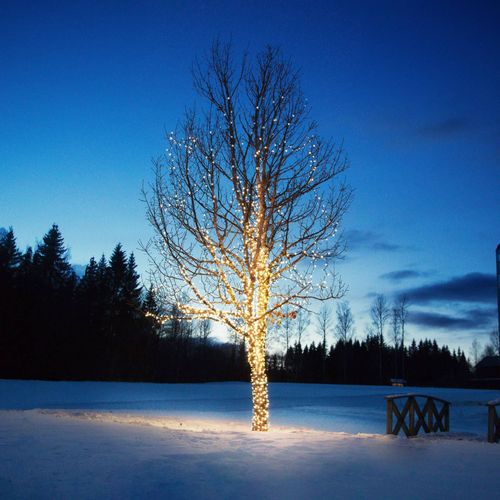 Guirlande Chrissline Extra 50 Led 2 850k