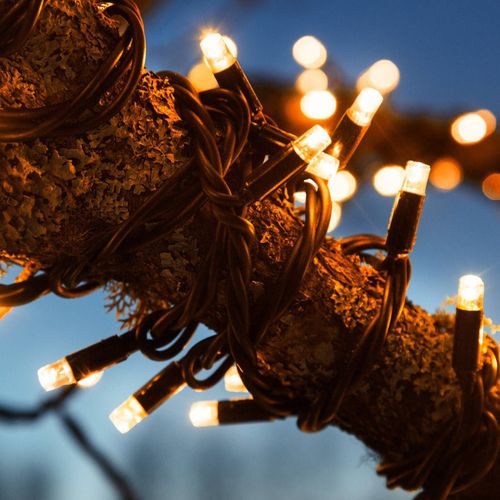 Guirlande Chrissline Extra 50 Led Ambrées