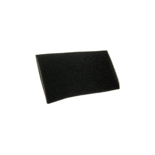 Filtre mousse 12027764 pour Aspirateur BOSCH