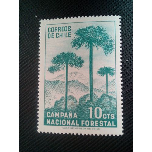 Timbre Chili Yt 319 Campagne De Reboisement , Araucaria 1967 ( 071105 )