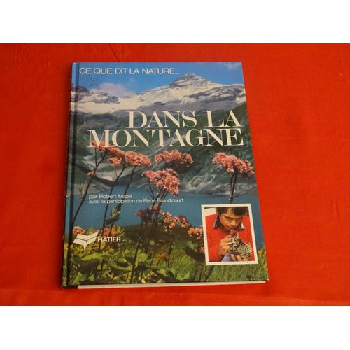 Dans La Montagne