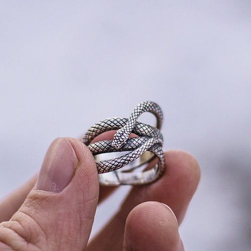 Bagues Punk En Métal Serpent Unisexe, Couleur Argent, Animaux Uniques, Accessoires Pour Hommes Et Femmes, Mode, Fête, Boîte De Nuit, Bijoux
