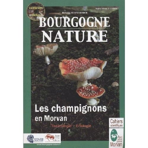 Les Champignons Du Morvan - Parc Du Morvan