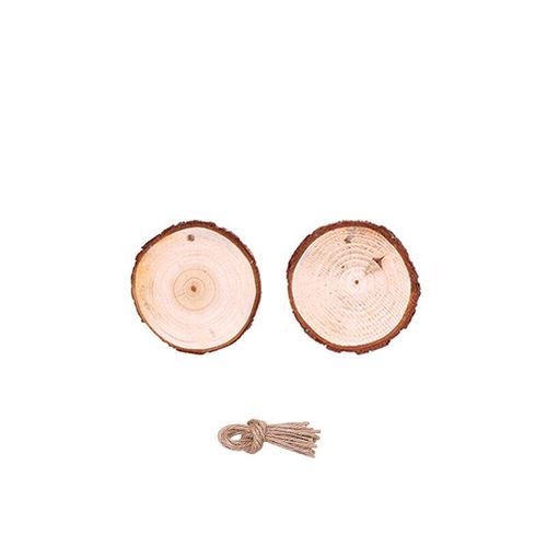 Planche De Peinture De Noël En Pin Naturel, Feuilles De Bois Avec Jumeaux, Décorations À Pendentif Pour Arbre De Noël, 10 Pièces/Ensemble