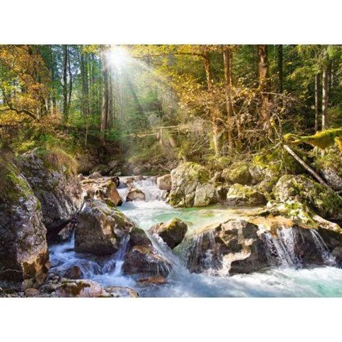 Puzzle Adulte Paysage Le Torrent 2000 Pieces - Collection Nature Et Foret