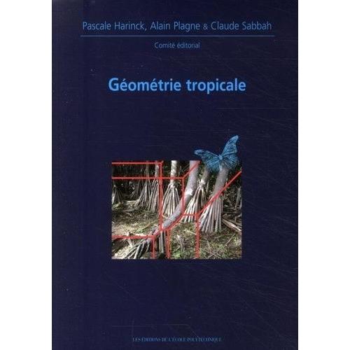 Géométrie Tropicale - Journées Mathématiques X-Ups 2008