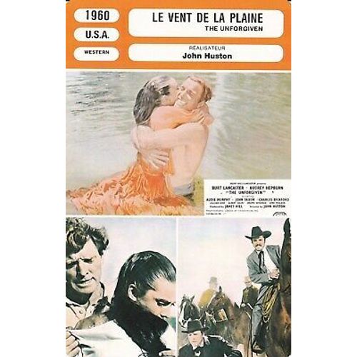 Fiche Monsieur Cinema Le Vent De La Plaine