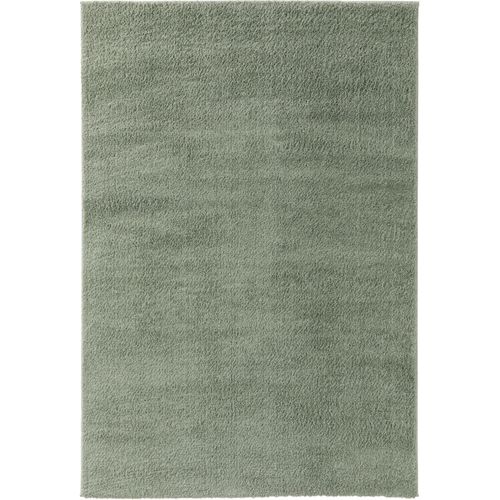 Tapis Shaggy À Poils Longs Soda Vert Clair 140x200 Cm - Tapis Doux Pour Salon