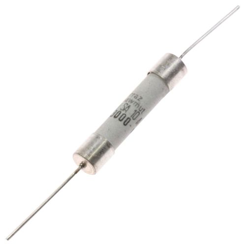 Fusible temporisé 10 a Four micro-ondes (MS-0295173 SEB MOULINEX DE DIETRICH SCHOLTES WHIRLPOOL)