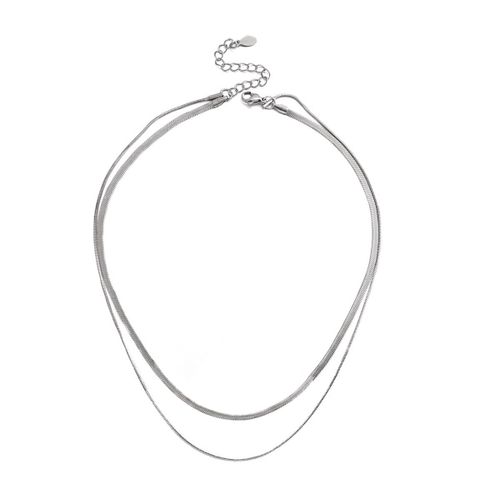Colliers En Acier Inoxydable Pour Femmes, Chaîne À Double Couche, Os De Serpent, Ins Rétro, Niche D'empilage, Chaîne À Lame, Collier Court