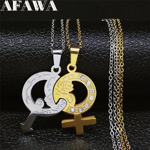 Collier En Acier Inoxydable, 2 Pièces, Symboles De Sexe, Fleur Rose, Cristal, Chaîne De Couple, Bijoux Couleur Argent Froid, Pour Femmes/Hommes, Nxs01