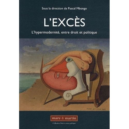 L'excès : L'hypermodernité, Entre Droit Et Politique