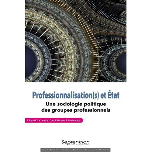 Professionnalisation(S) Et Etat - Une Sociologie Politique Des Groupes Professionnels