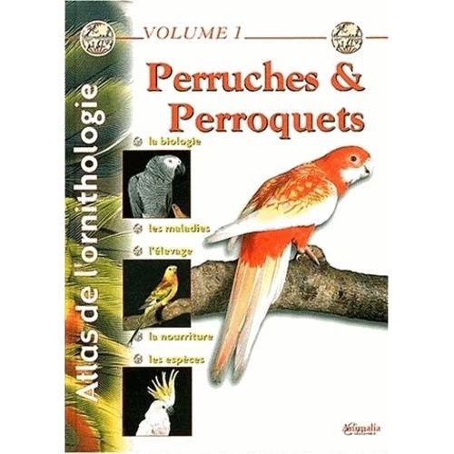 Perruches Et Perroquets