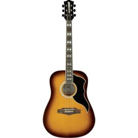 Eko Rangervr6-Hb - Guitare Acoustique Dreadnought - Honey Burst