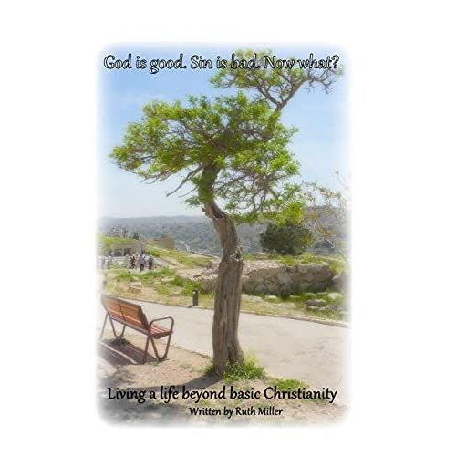 God Is Good. Sin Is Bad. Now What?: Living A Life Beyond Basic Christianity