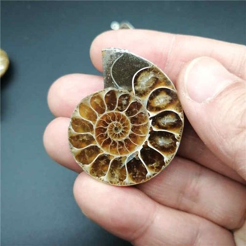 Collier En Pierre Naturelle Pour Hommes, Pendentif En Forme D'escargot, De Coquillage, De Conque, Océan, Bijou De Déclaration