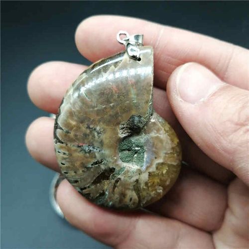 Pendentifs En Pierre Naturelle Pour Hommes, Pendentifs En Pierre D'ammoniac, Coquillage, Escargot, Océan, Reliquiae, Conque, Bijoux De Déclaration