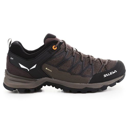 Baskets Basses Salewa Mtn Trainer Lite Gtx