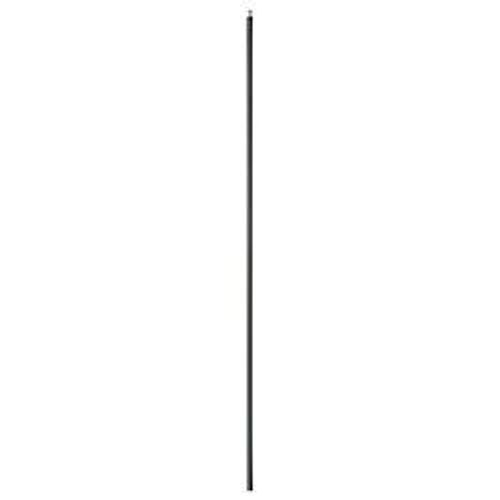 20005
