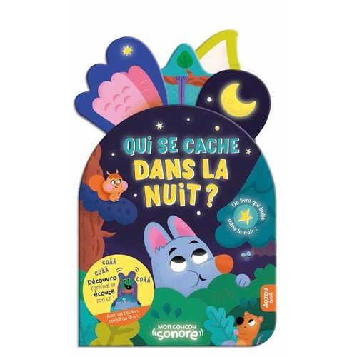 Qui Se Cache Dans La Nuit ? - Un Livre Qui Brille Dans Le Noir !