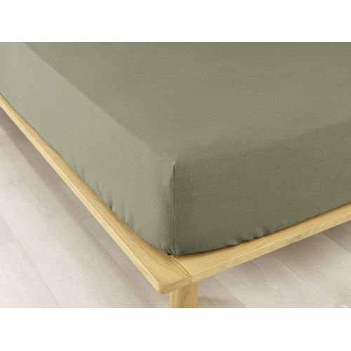 Drap Housse 160x200 +30 Cm Flanelle De Coton Romarin