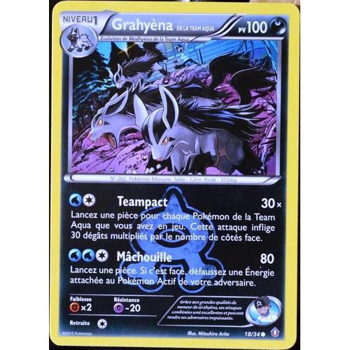 Carte Pokémon 18/34 Grahyèna Team Aqua 100 Pv Double Danger Neuf Fr