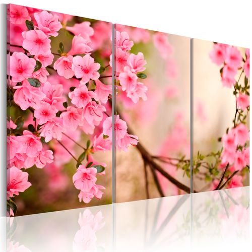 Tableau Fleurs Fleur de cerisier 90 x 60 cm