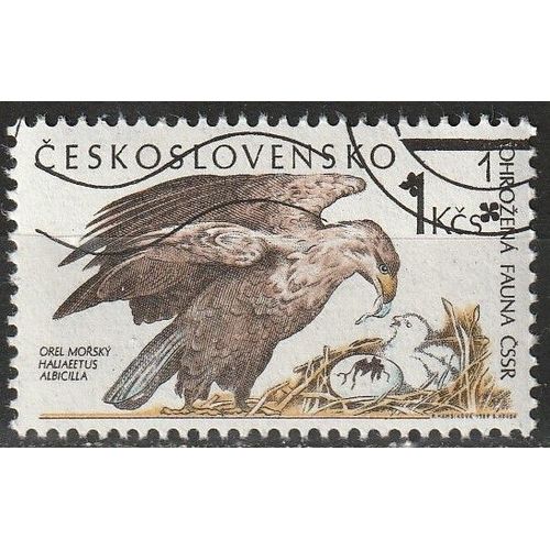 Timbre Tchécoslovaquie Oblitéré, La Faune En Voie De Disparition, Aigle De Mer 1989 N° 2807